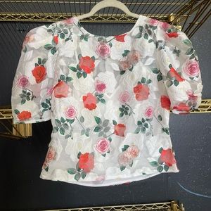 Sheer puff sleeve blouse size large